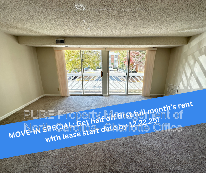 Charlotte Condo: 9520 Shannon Green Drive