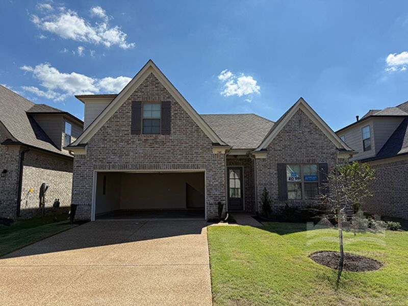 Oakland House: 100 Downy Birch Cv