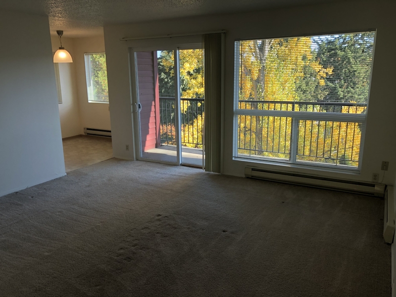 Seattle Condo: 4209 30th Ave SW - 301