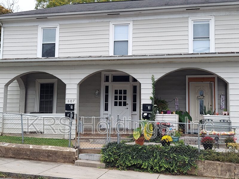 Staunton Condo: 607 Winthrop St