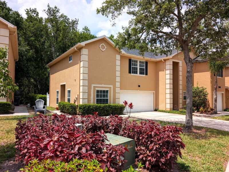 Tampa Townhome: 6212 Ashbury Palms Dr