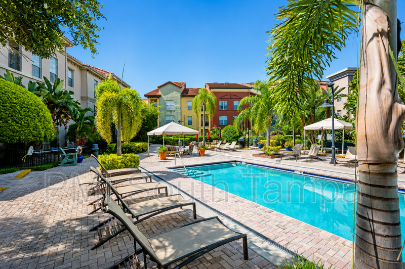 Tampa Condo: 2421 W Horatio St