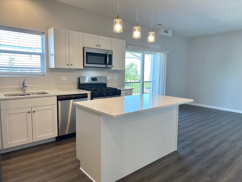 East Dundee Condo: 853 E Main St