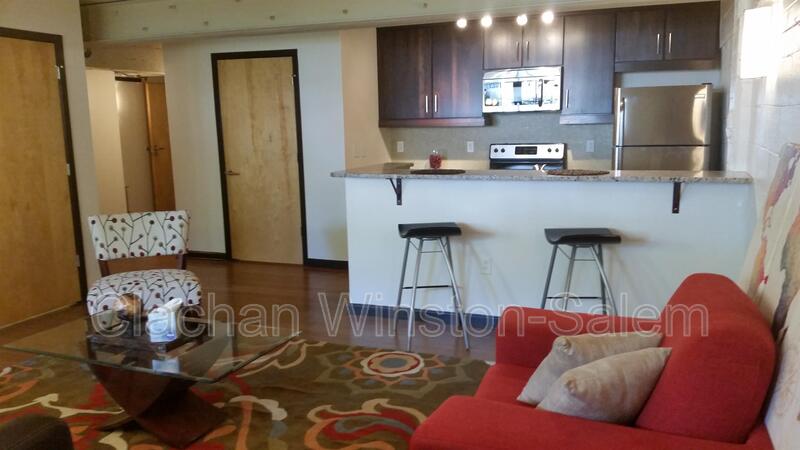 Winston Salem Apartment: 675 N. Main St