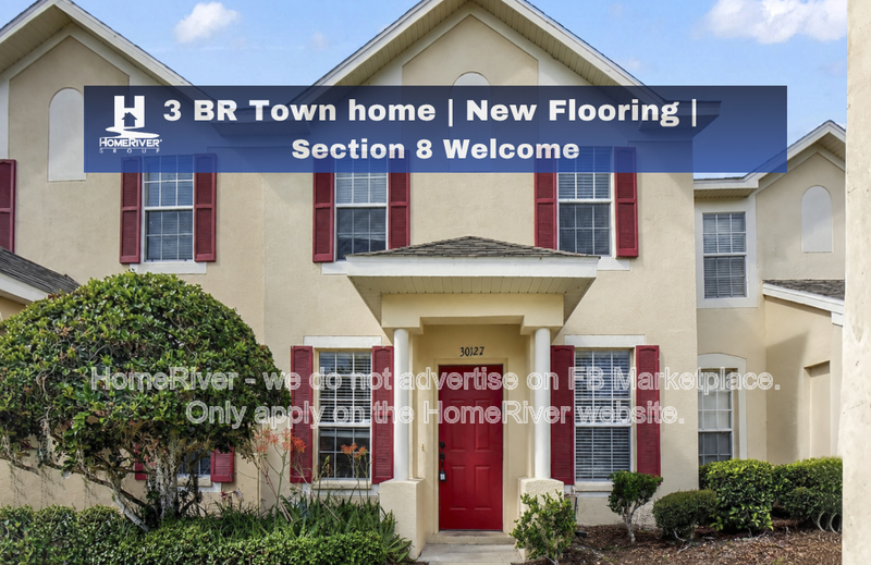 Wesley Chapel Townhome: 30127 Barnaby Ln