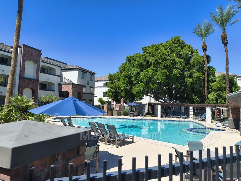 Phoenix Condo: 3302 North 7th Street