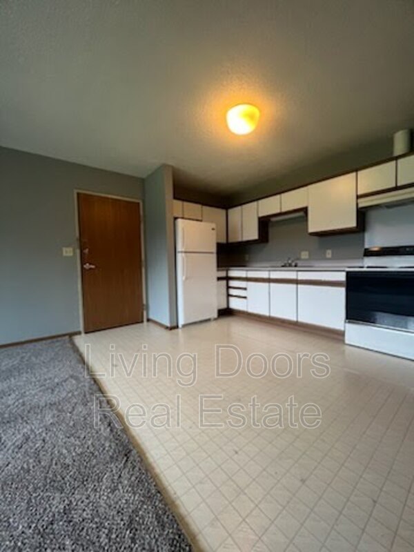 Bloomfield Condo: 603 S. Washington St