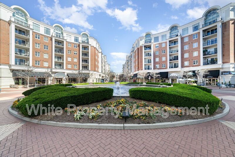 Charlotte Condo: 4625 Piedmont Row Drive