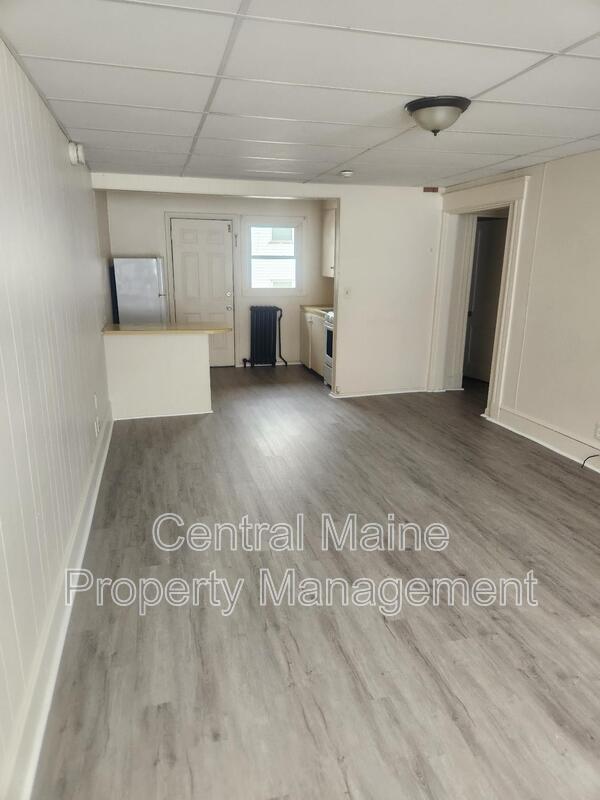 Lewiston Condo: 127 Oak Street - 2