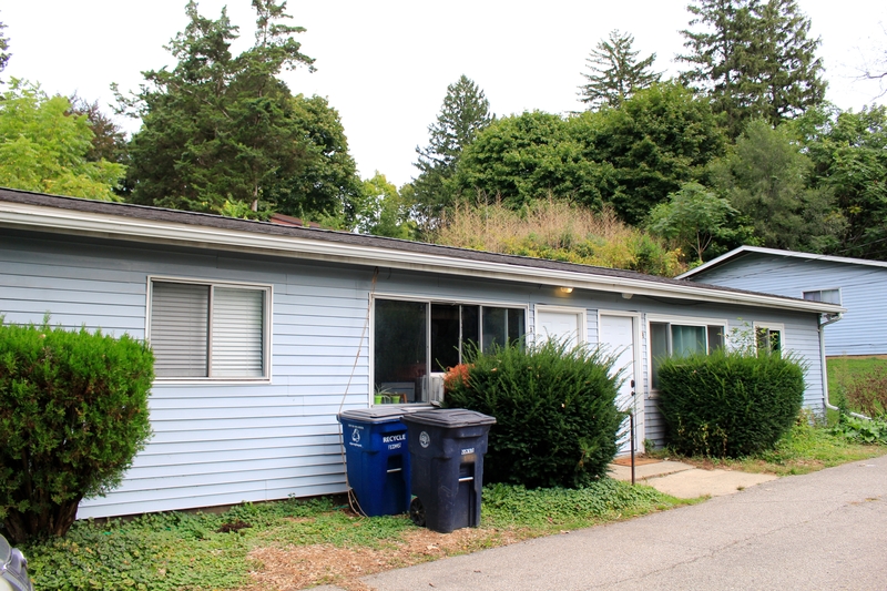 Ann Arbor Condo: 1112 Fountain Street