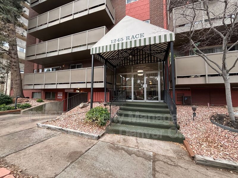 Denver Condo: 1245 Race St