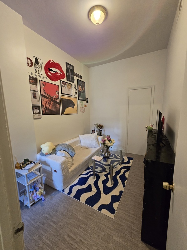 Richmond Condo: 501 W Grace St