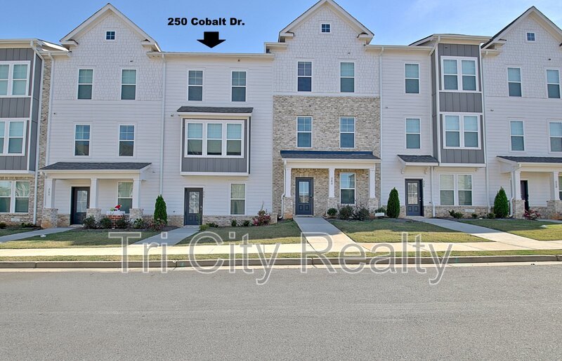 Fayetteville House: 250 Cobalt Drive