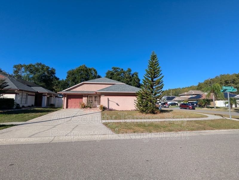 Tampa House: 5901 Birchwood Dr