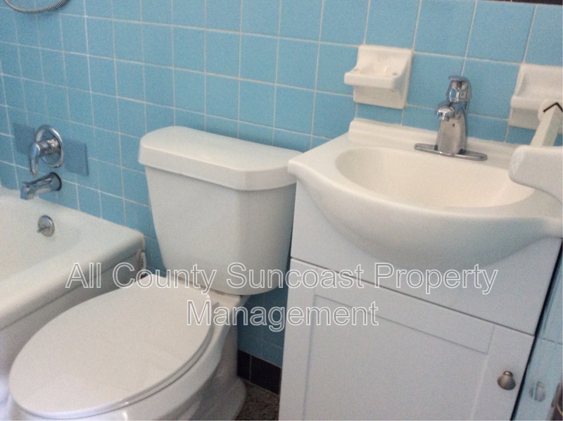 Main Rental Photo 9