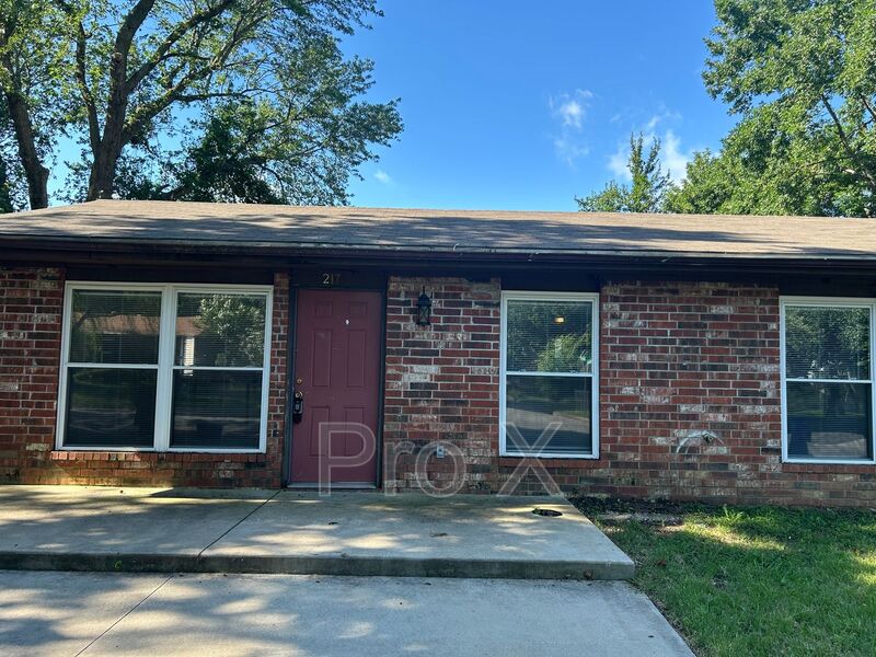 Fayetteville Condo: 217 E Adobe St