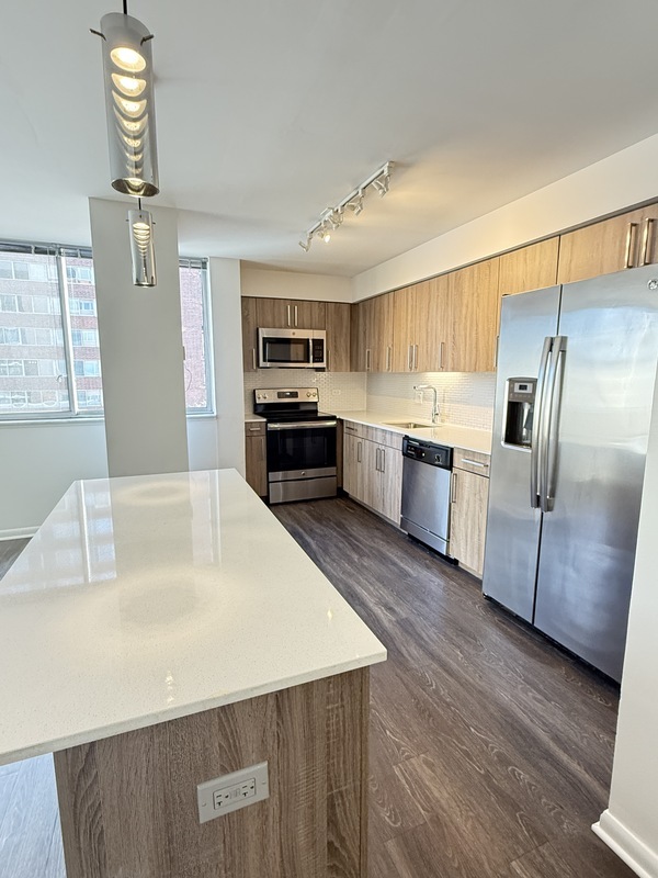 Chicago Condo: 1511 S Laflin St