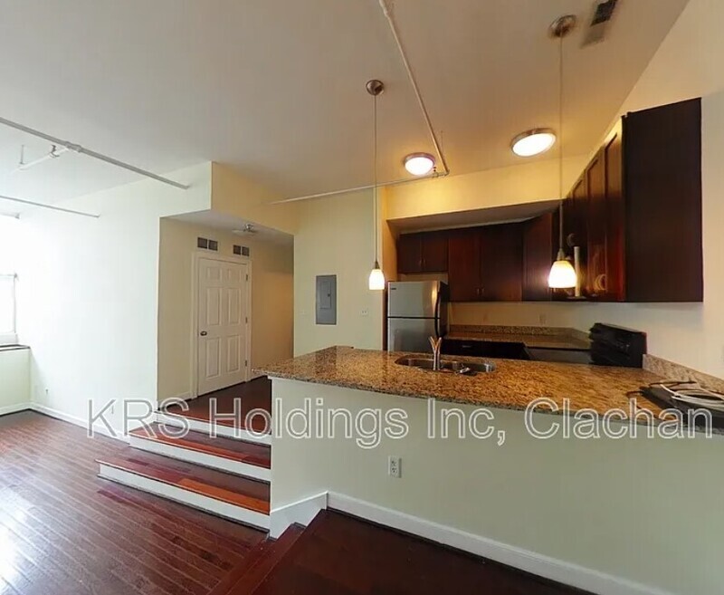Richmond Condo: 123 E Broad Street