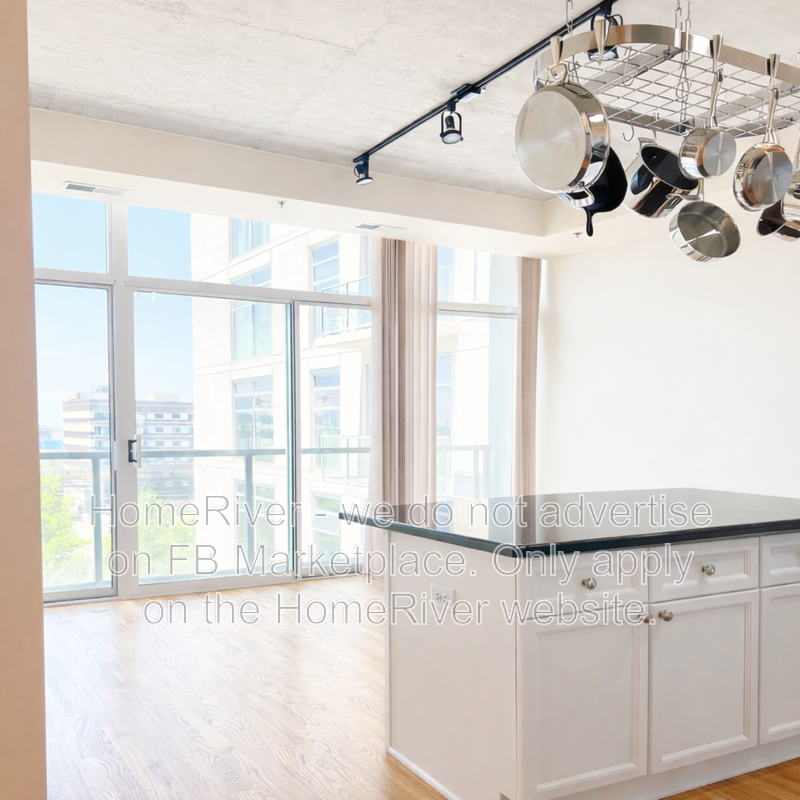 Chicago Condo: 1620 S Michigan Ave