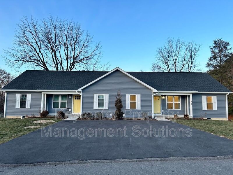 Staunton Condo: 317 Sterling St
