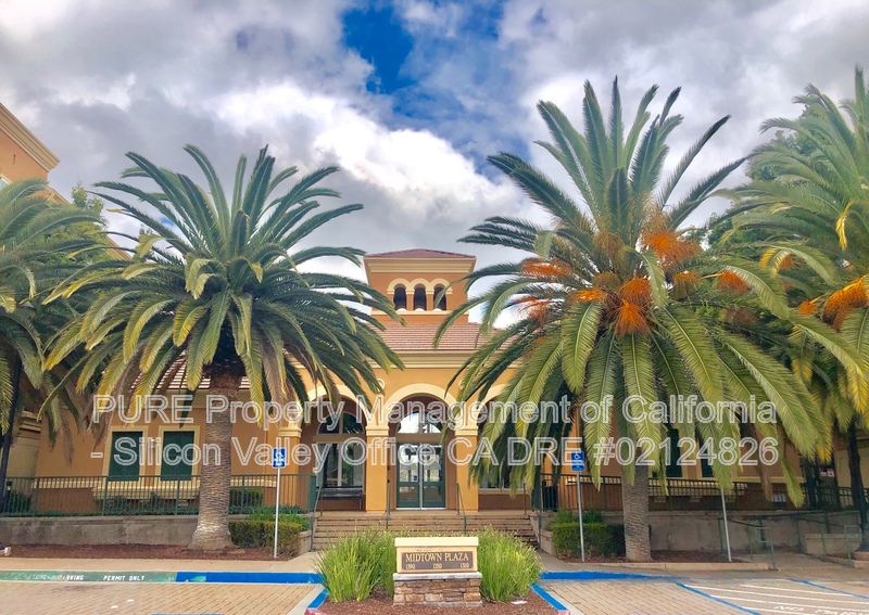 San Jose House: 1310 Saddle Rack St.