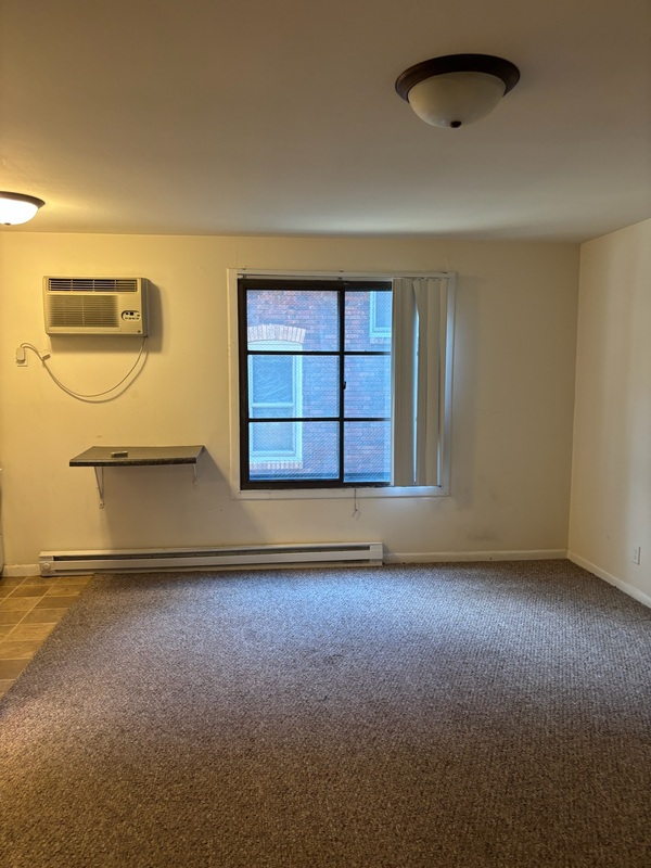 Madison Condo: 134 E Johnson - Unit 104