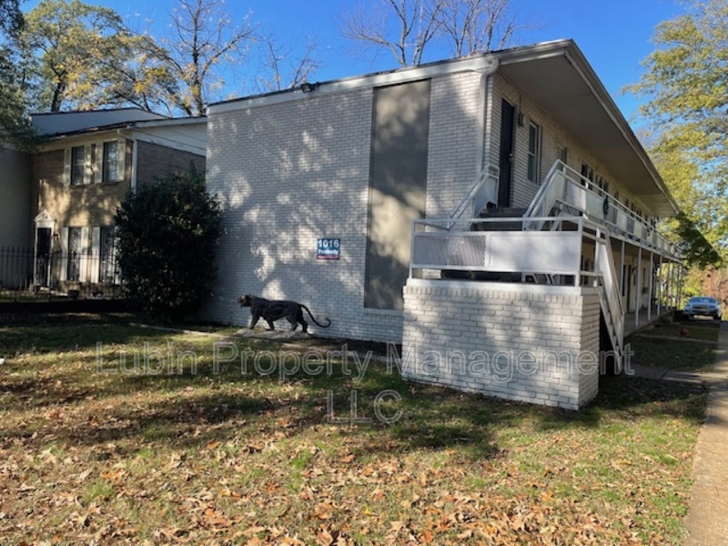 Memphis Condo: 1016 Peabody Ave