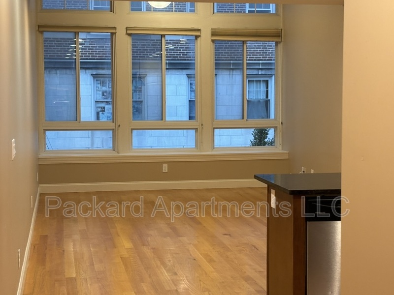 Albany Condo: 260 Washington Avenue - 206