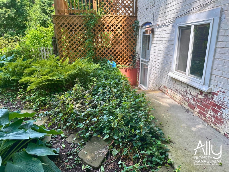 Charlottesville House: 709 Park Street
