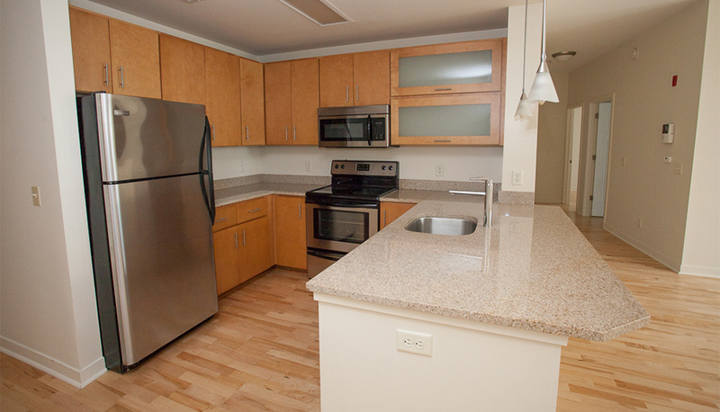 Harrisonburg Condo: 238 East Water Street Suite 318