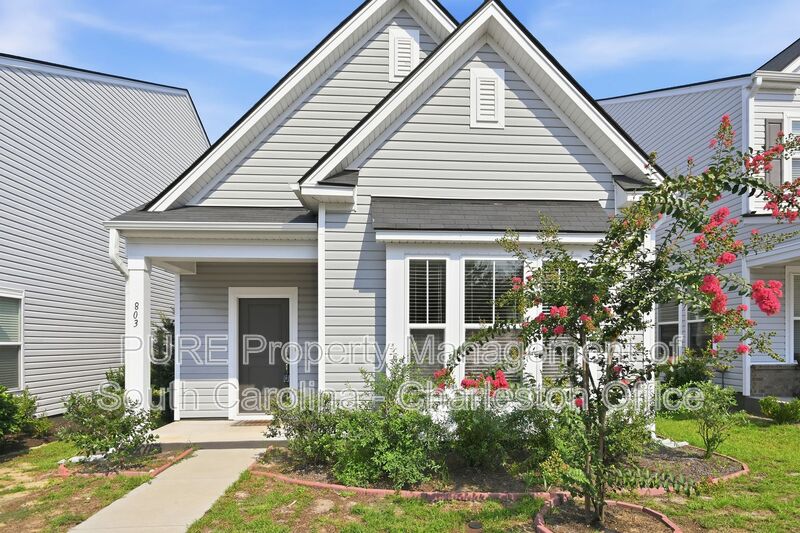 Charleston House: 803 Lachicotte Creek Dr