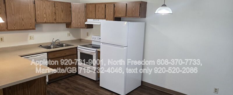 Appleton Condo: 109 E. Mitchell Ave. # 9