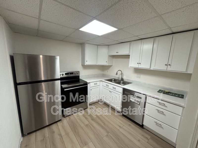 Dixon Condo: 1231 North Galena Avenue - 200