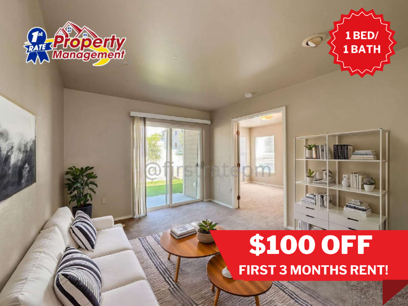 Boise Condo: 850 W. Belmont Street