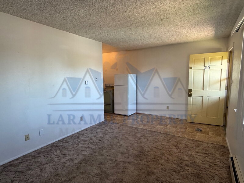 Laramie Condo: 706 Downey St