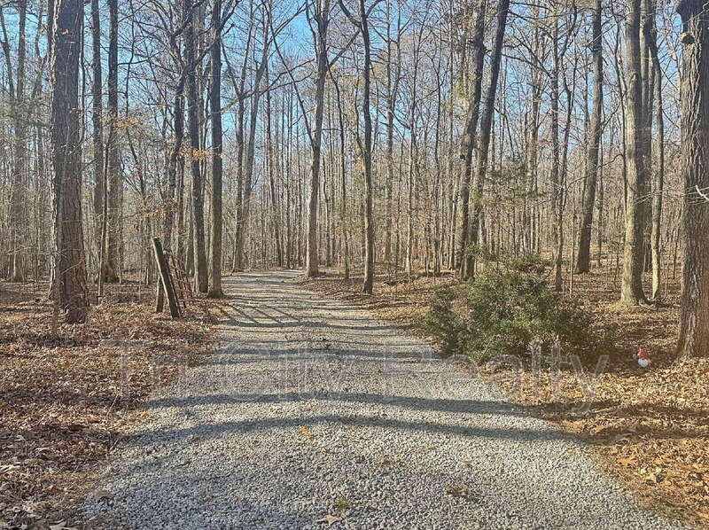 Senoia House: 175 Ridgeway Court