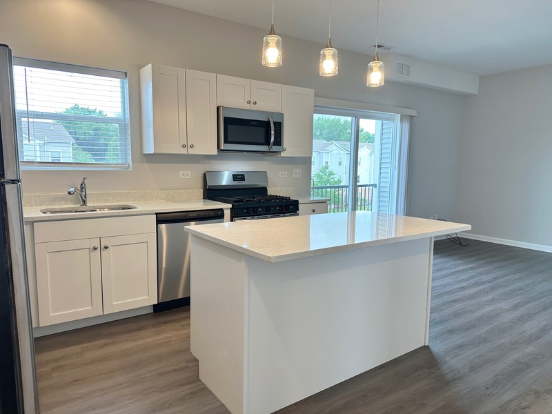 East Dundee Condo: 853 E Main St