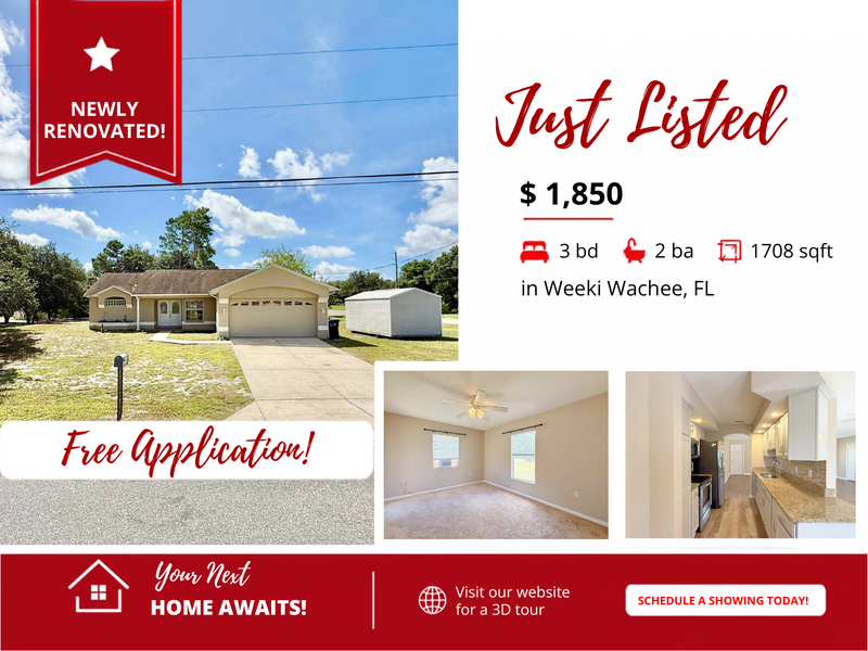 Weeki Wachee House: 10300 Noddy Tern Road