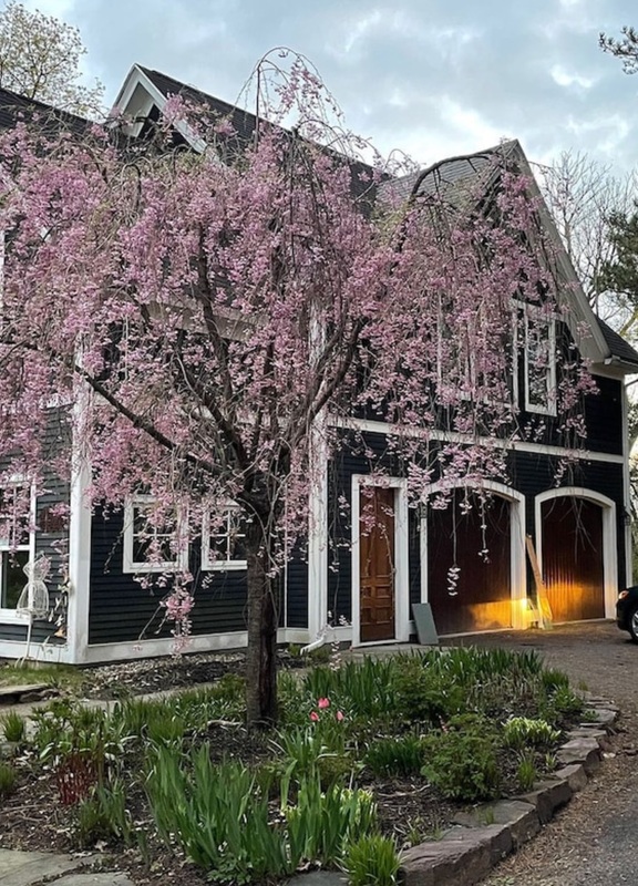 Burlington Condo: 195 N Prospect St