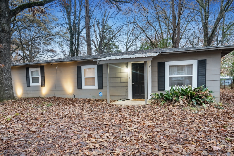 Birmingham House: 233 Tucker Avenue