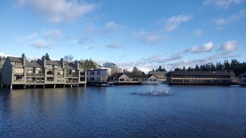 Bellevue Condo: 7 Lake Bellevue Dr.  #108