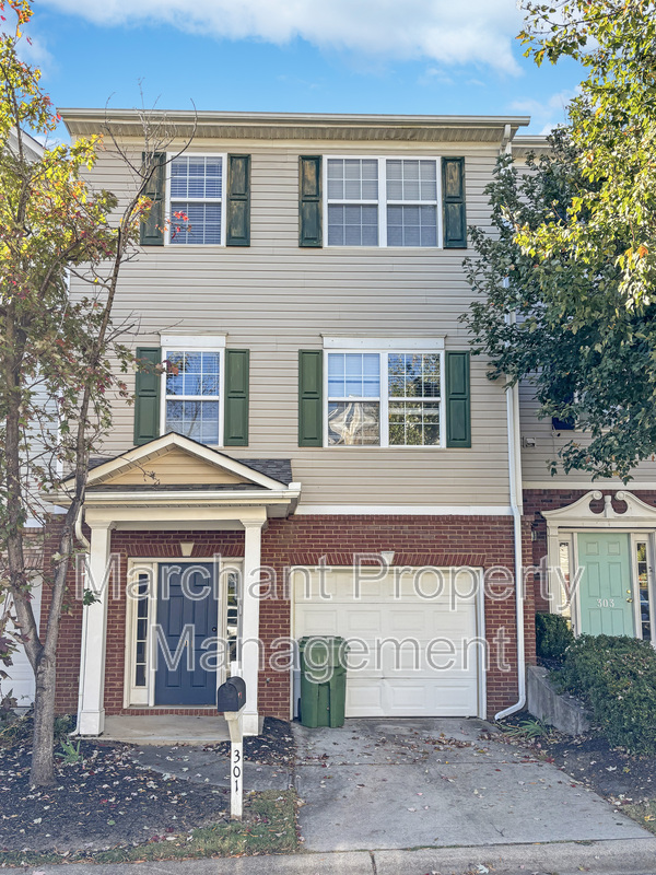 Mauldin Townhome: 301 Pampas Court