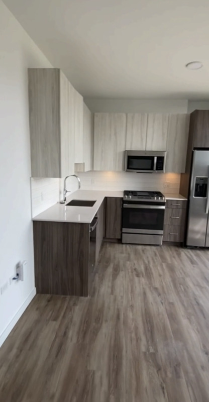 Chicago Condo: 188 N Aberdeen