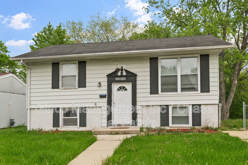 Richton Park House: 22015 East Churchill Drive