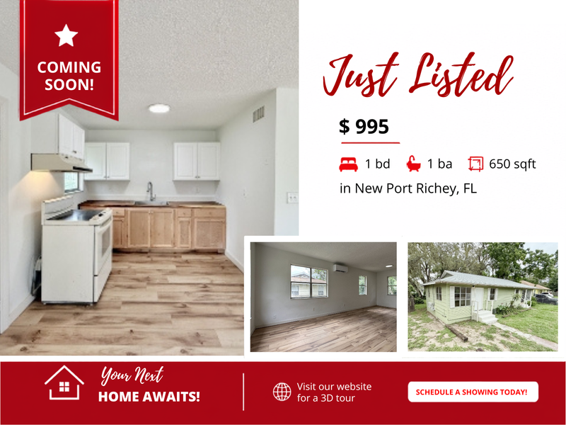 New Port Richey Condo: 12005 Wanda Avenue