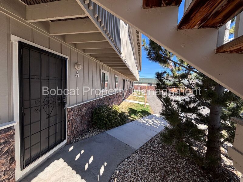 Gardnerville Condo: 1516 South Ct