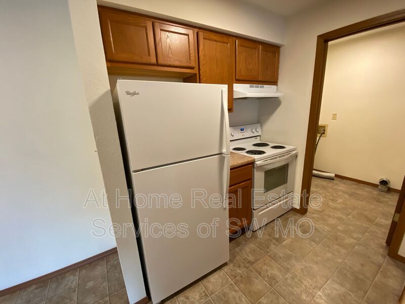 Ozark Condo: 713 E Bain