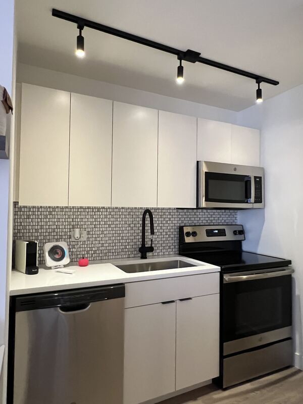 Chicago Condo: 833 N Dearborn St