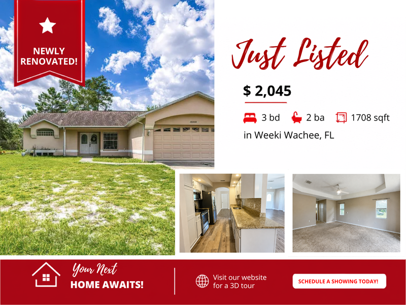 Weeki Wachee House: 10300 Noddy Tern Road
