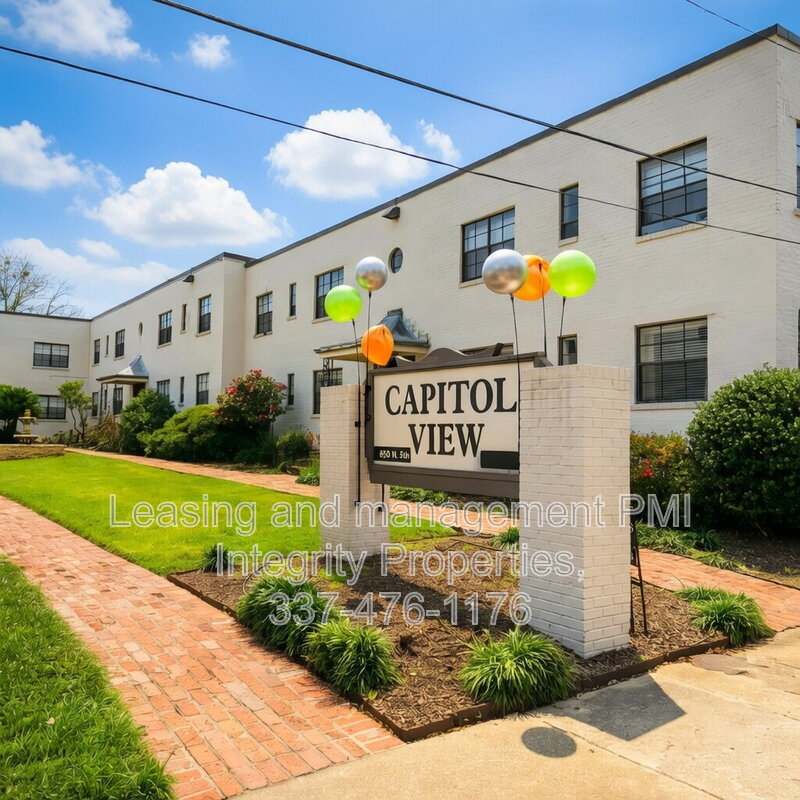 Baton Rouge Condo: 850 North 5th Street